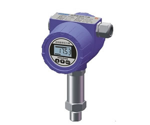 远传数字压力表(RS485)